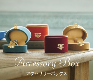 Accessory Box